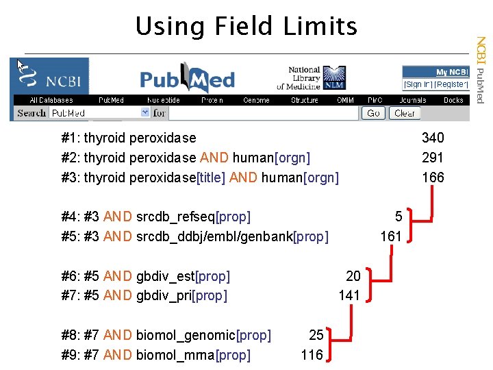 NCBI Pub. Med Using Field Limits #1: thyroid peroxidase #2: thyroid peroxidase AND human[orgn]