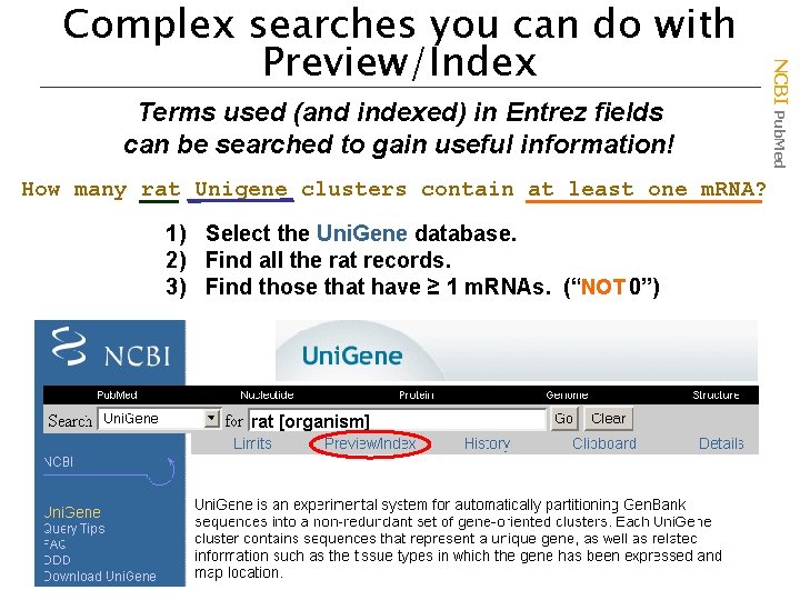 Terms used (and indexed) in Entrez fields can be searched to gain useful information!