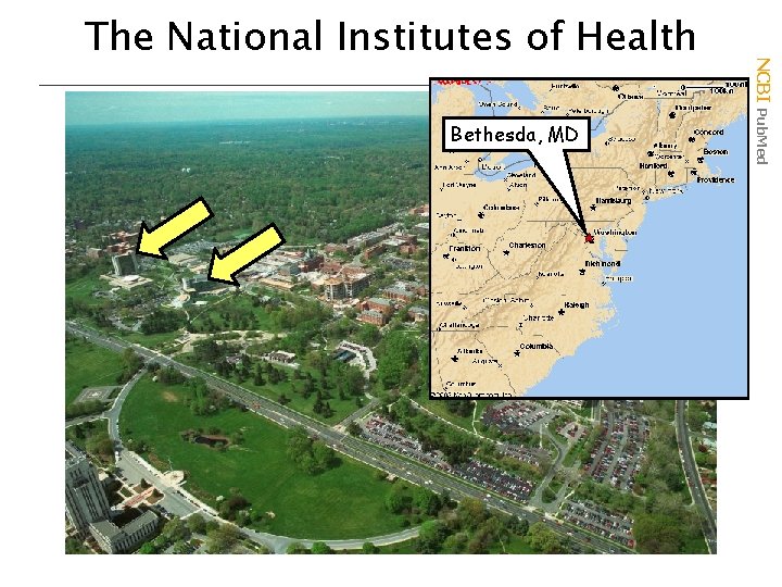 Bethesda, MD NCBI Pub. Med The National Institutes of Health 