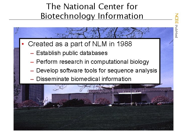  • Created as a part of NLM in 1988 – – Establish public