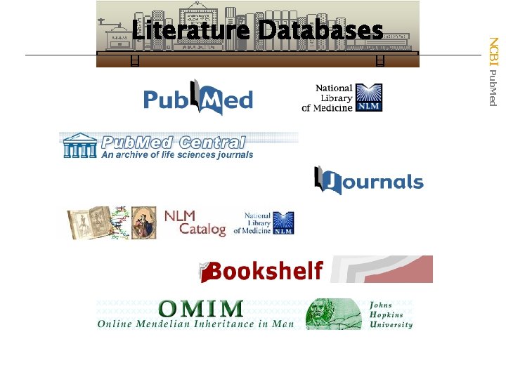 NCBI Pub. Med Literature Databases 