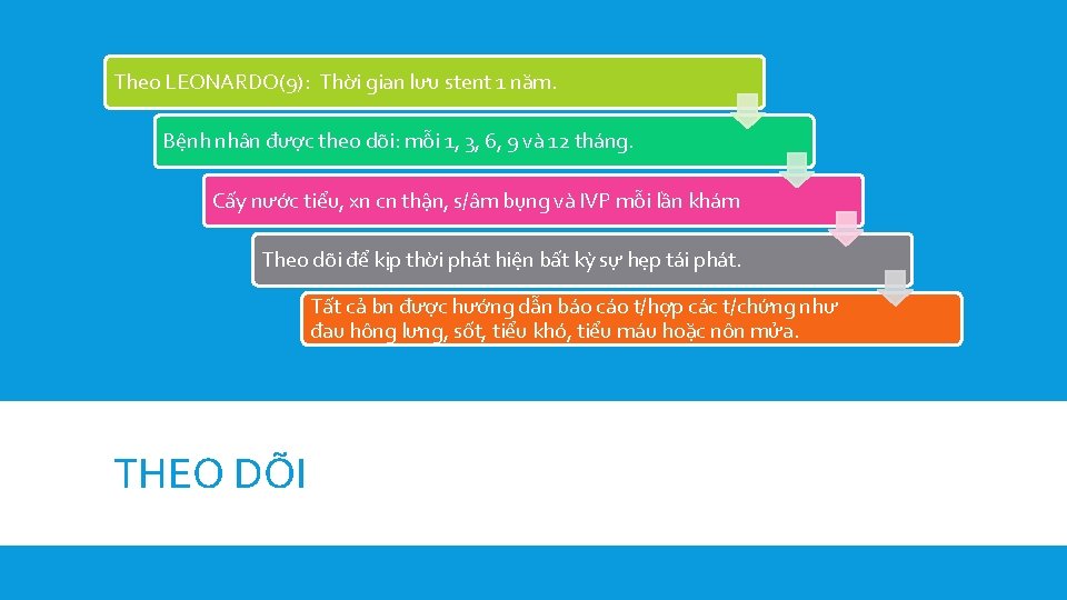 Theo LEONARDO(9): Thời gian lưu stent 1 năm. Bệnh nhân được theo dõi: mỗi