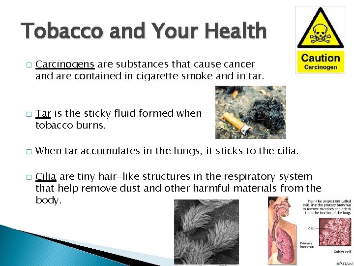 Tobacco and Your Health � � Carcinogens are substances that cause cancer and are