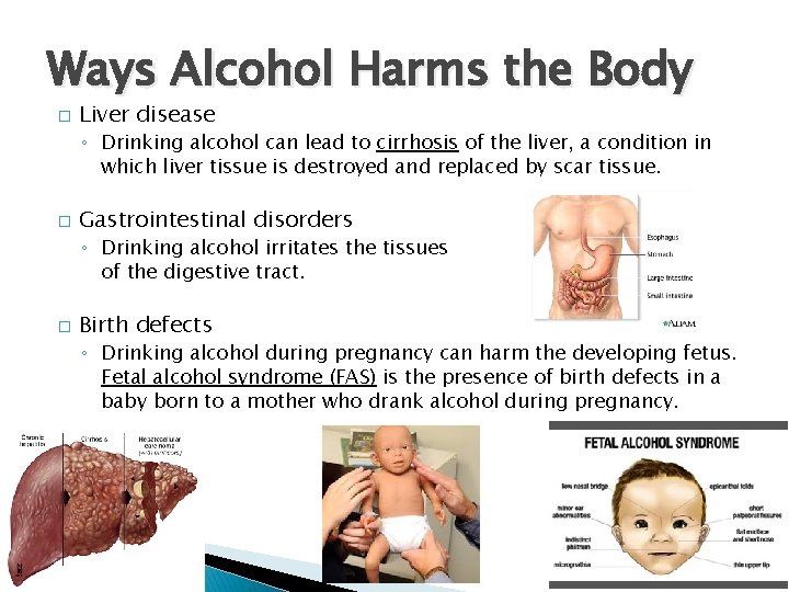 Ways Alcohol Harms the Body � Liver disease ◦ Drinking alcohol can lead to