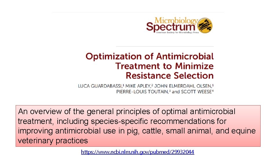 An overview of the general principles of optimal antimicrobial treatment, including species-specific recommendations for