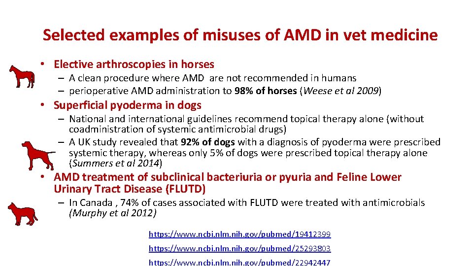 Selected examples of misuses of AMD in vet medicine • Elective arthroscopies in horses