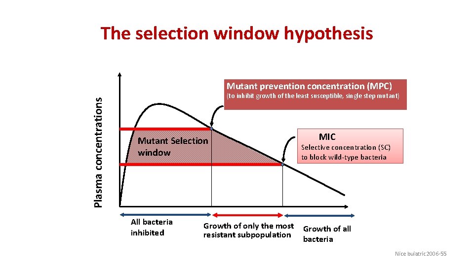 The selection window hypothesis Plasma concentrations Mutant prevention concentration (MPC) (to inhibit growth of