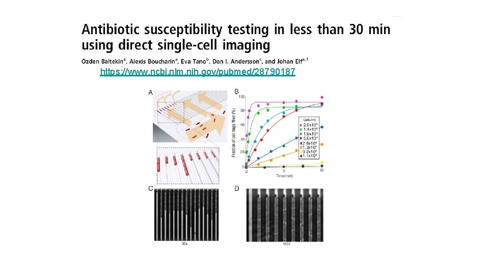 https: //www. ncbi. nlm. nih. gov/pubmed/28790187 