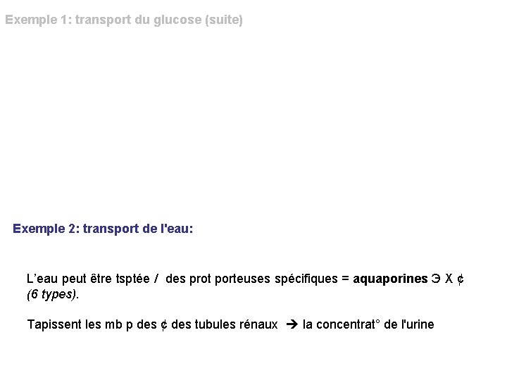 Exemple 1: transport du glucose (suite) Pour le glucose il existe 12 types de