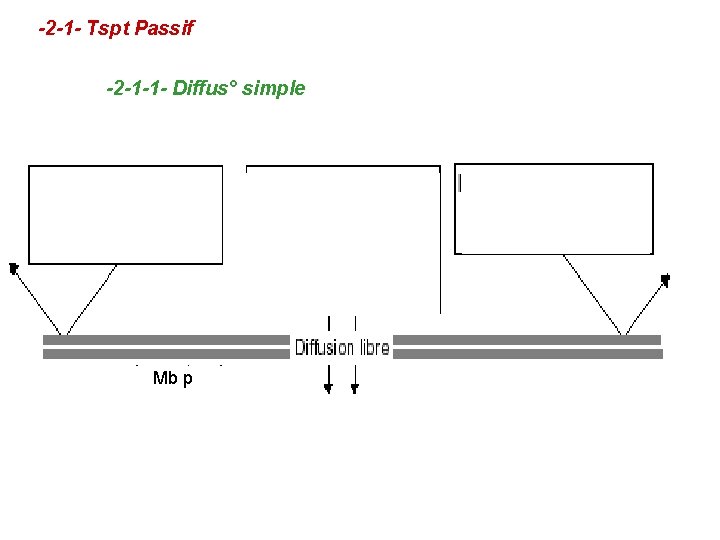 -2 -1 - Tspt Passif -2 -1 -1 - Diffus° simple gaz Mb p