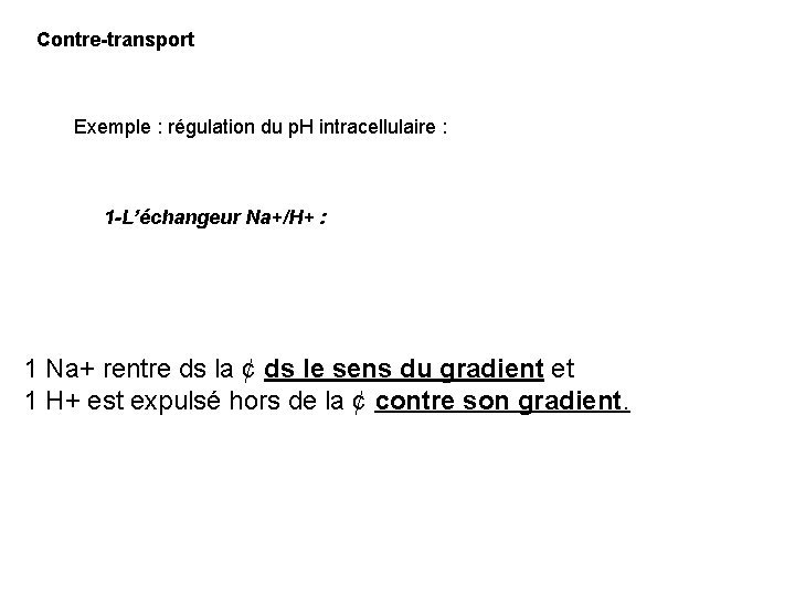 Contre-transport Exemple : régulation du p. H intracellulaire : 1 -L’échangeur Na+/H+ : 1