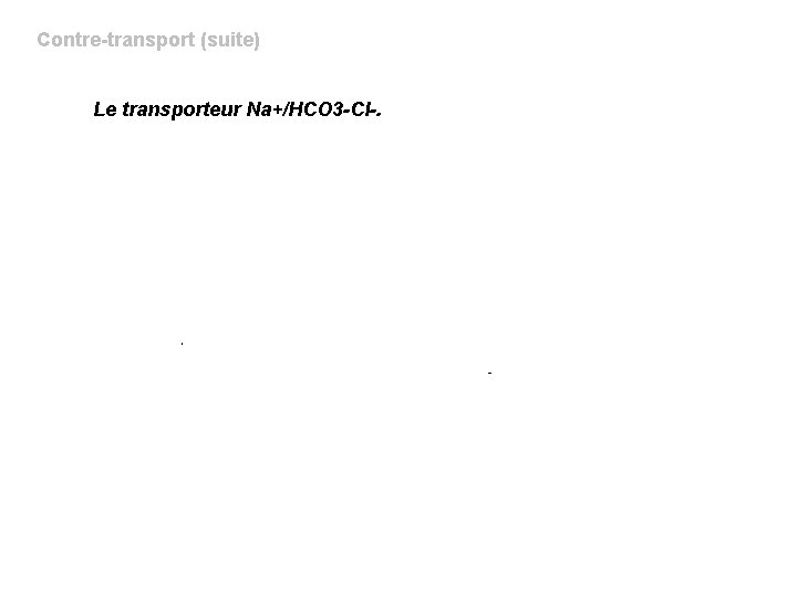 Contre-transport (suite) Le transporteur Na+/HCO 3 -Cl-. -Laisse entrer le Na+/ dans le sens