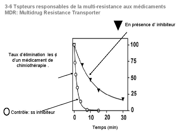 3 -6 Tspteurs responsables de la multi-resistance aux médicaments MDR: Multidrug Resistance Transporter En