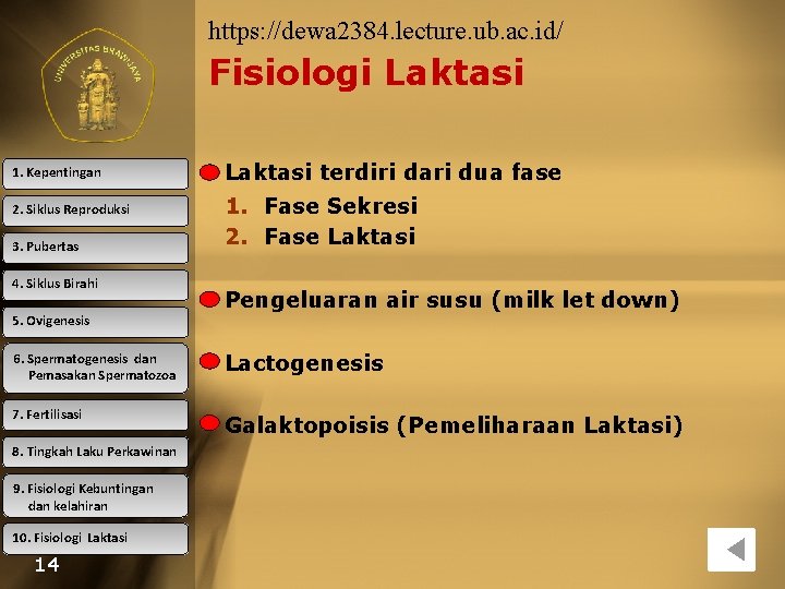 https: //dewa 2384. lecture. ub. ac. id/ Fisiologi Laktasi 1. Kepentingan 2. Siklus Reproduksi