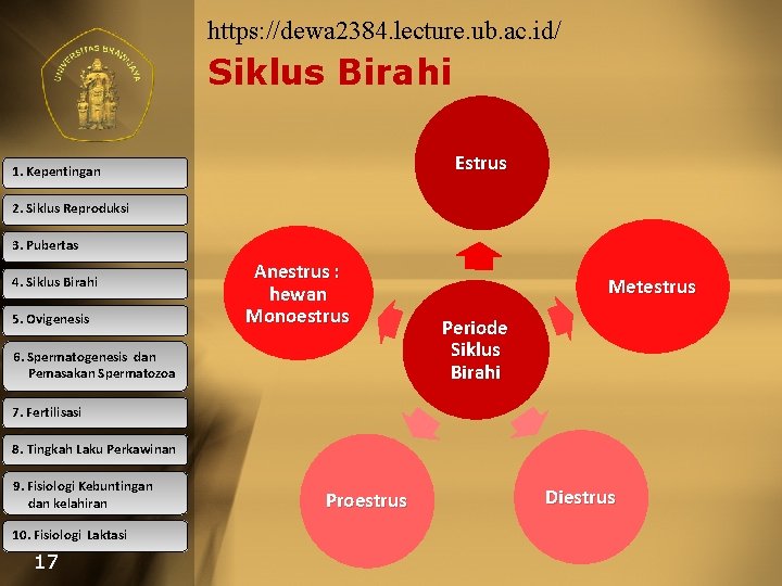 https: //dewa 2384. lecture. ub. ac. id/ Siklus Birahi Estrus 1. Kepentingan 2. Siklus