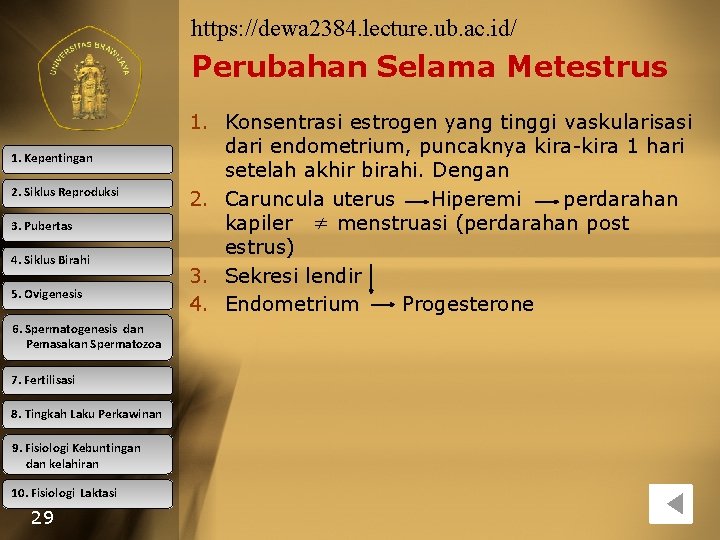 https: //dewa 2384. lecture. ub. ac. id/ Perubahan Selama Metestrus 1. Kepentingan 2. Siklus