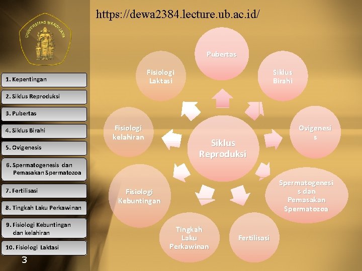 https: //dewa 2384. lecture. ub. ac. id/ Pubertas Fisiologi Laktasi 1. Kepentingan Siklus Birahi