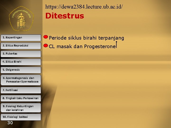 https: //dewa 2384. lecture. ub. ac. id/ Ditestrus 1. Kepentingan Periode siklus birahi terpanjang