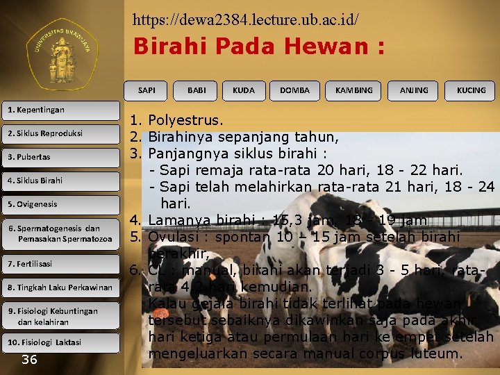 https: //dewa 2384. lecture. ub. ac. id/ Birahi Pada Hewan : SAPI 1. Kepentingan