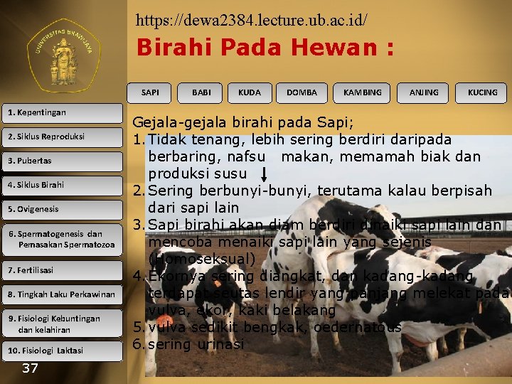 https: //dewa 2384. lecture. ub. ac. id/ Birahi Pada Hewan : SAPI 1. Kepentingan