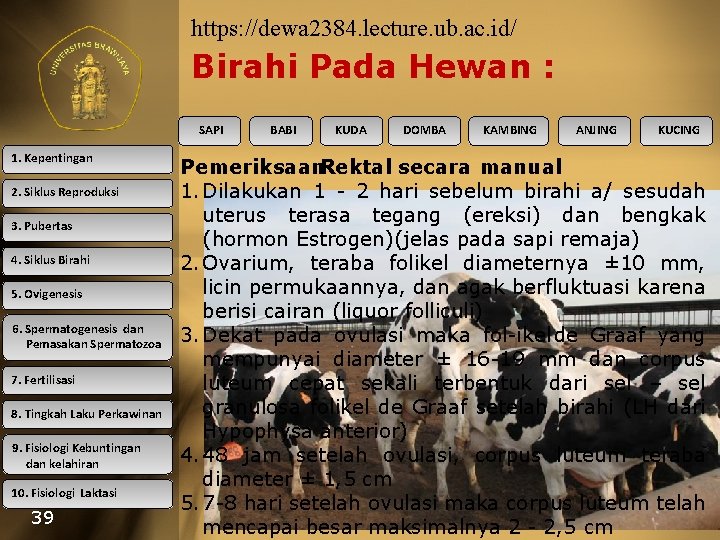 https: //dewa 2384. lecture. ub. ac. id/ Birahi Pada Hewan : SAPI 1. Kepentingan