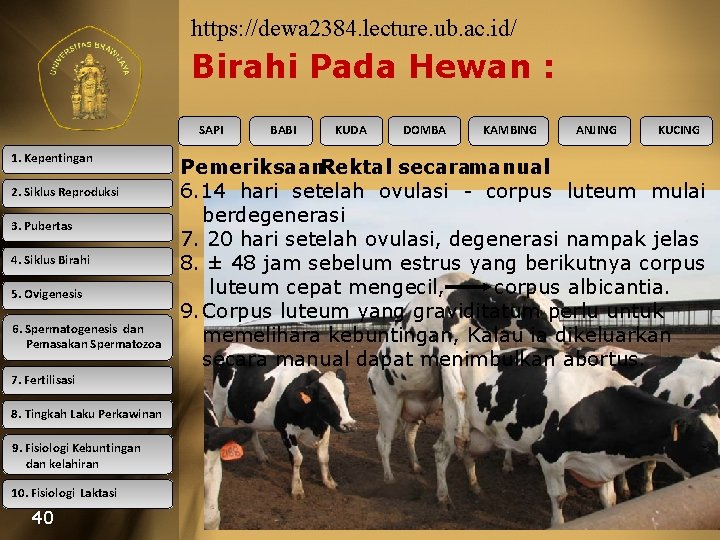 https: //dewa 2384. lecture. ub. ac. id/ Birahi Pada Hewan : SAPI 1. Kepentingan