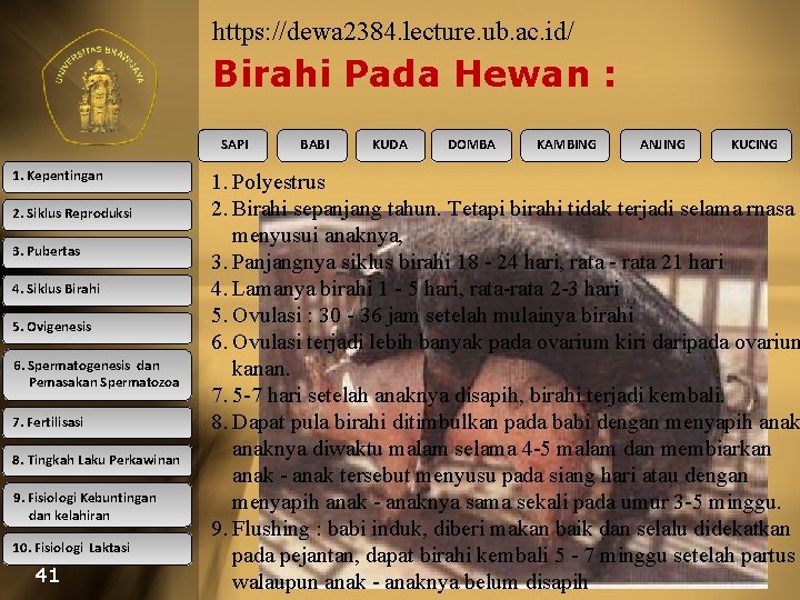 https: //dewa 2384. lecture. ub. ac. id/ Birahi Pada Hewan : SAPI 1. Kepentingan