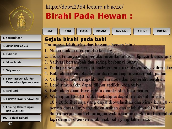 https: //dewa 2384. lecture. ub. ac. id/ Birahi Pada Hewan : SAPI 1. Kepentingan
