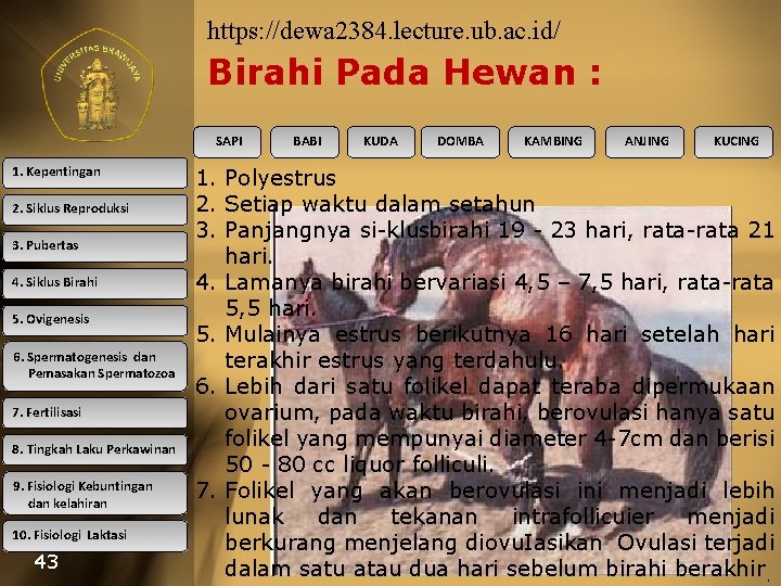 https: //dewa 2384. lecture. ub. ac. id/ Birahi Pada Hewan : SAPI 1. Kepentingan