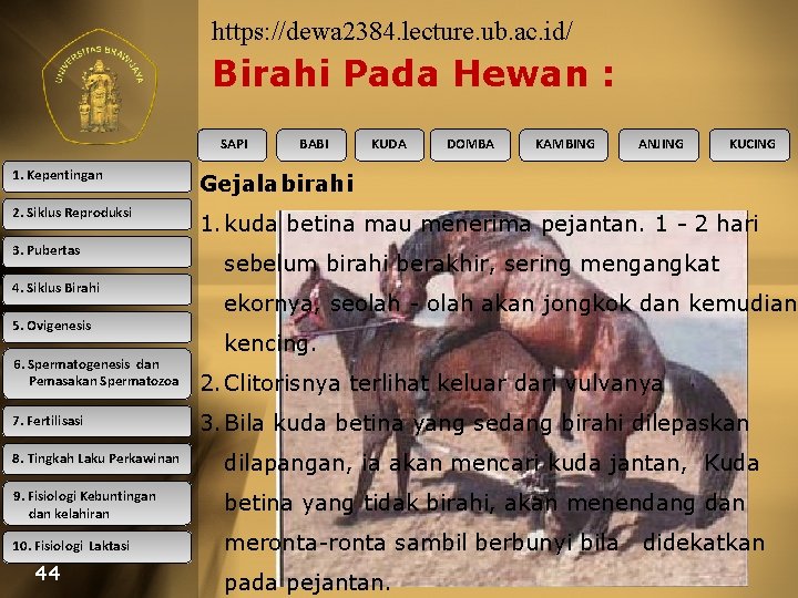 https: //dewa 2384. lecture. ub. ac. id/ Birahi Pada Hewan : SAPI BABI KUDA