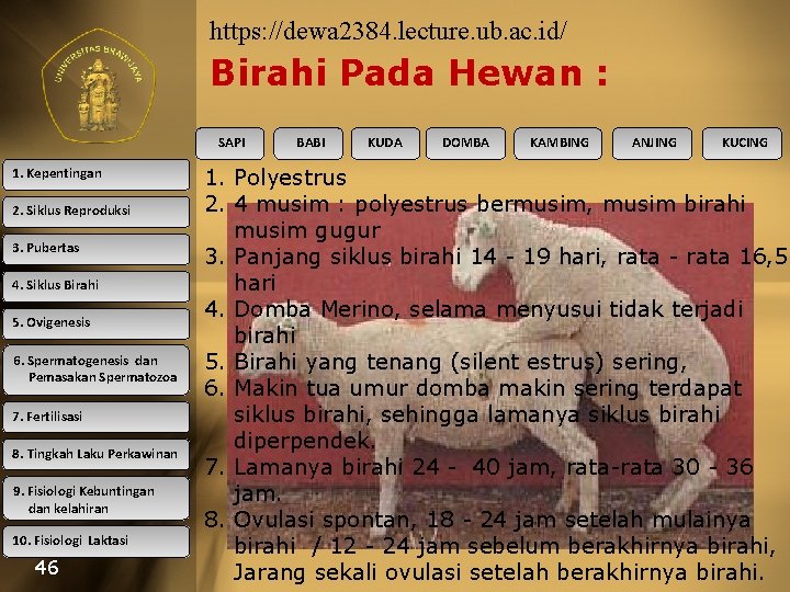 https: //dewa 2384. lecture. ub. ac. id/ Birahi Pada Hewan : SAPI 1. Kepentingan