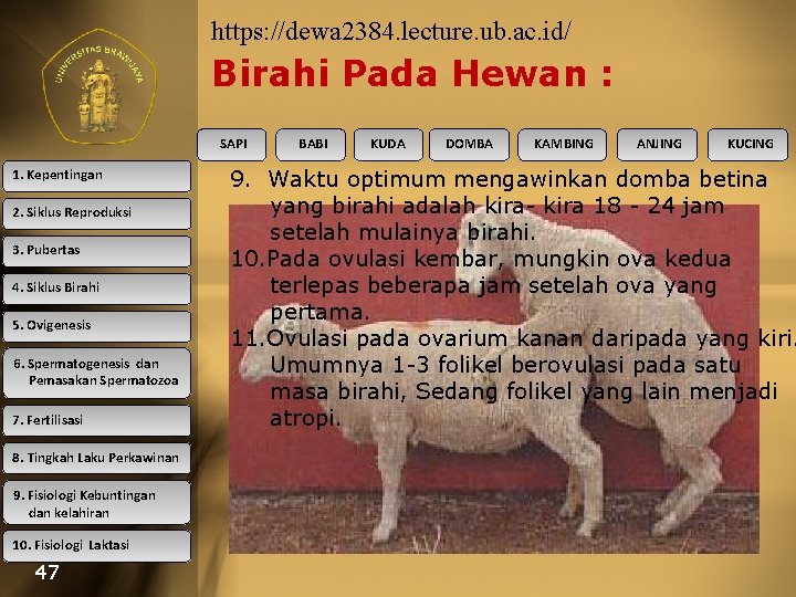 https: //dewa 2384. lecture. ub. ac. id/ Birahi Pada Hewan : SAPI 1. Kepentingan