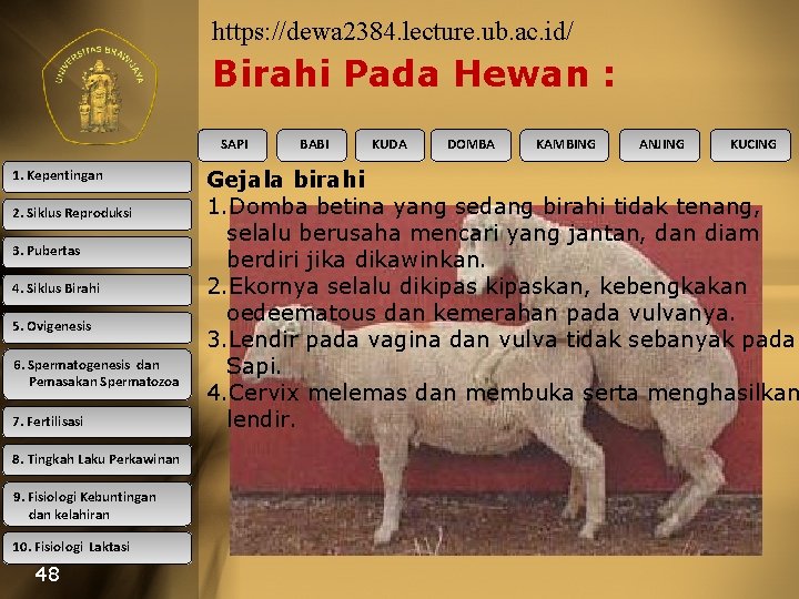 https: //dewa 2384. lecture. ub. ac. id/ Birahi Pada Hewan : SAPI 1. Kepentingan