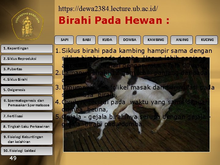 https: //dewa 2384. lecture. ub. ac. id/ Birahi Pada Hewan : SAPI 1. Kepentingan