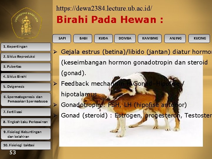https: //dewa 2384. lecture. ub. ac. id/ Birahi Pada Hewan : SAPI 1. Kepentingan