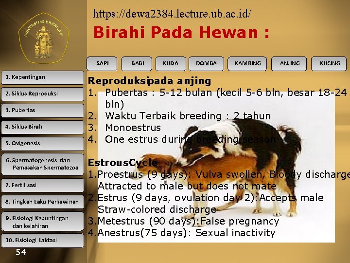 https: //dewa 2384. lecture. ub. ac. id/ Birahi Pada Hewan : SAPI 1. Kepentingan