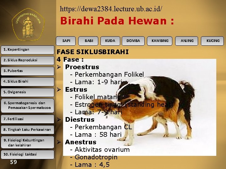 https: //dewa 2384. lecture. ub. ac. id/ Birahi Pada Hewan : SAPI 1. Kepentingan