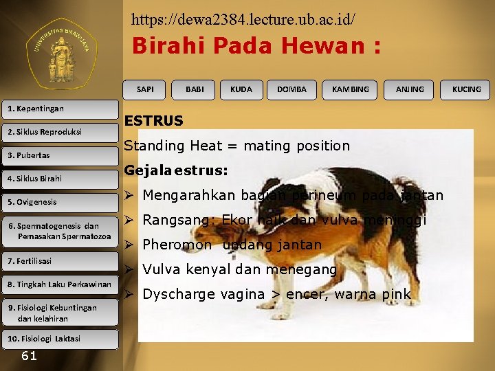 https: //dewa 2384. lecture. ub. ac. id/ Birahi Pada Hewan : SAPI 1. Kepentingan