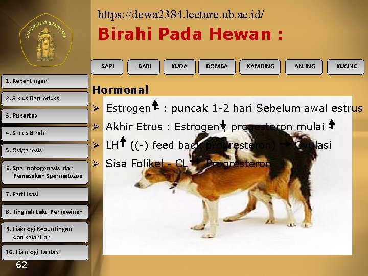 https: //dewa 2384. lecture. ub. ac. id/ Birahi Pada Hewan : SAPI 1. Kepentingan