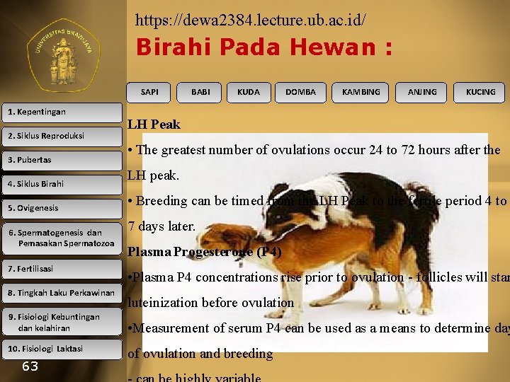 https: //dewa 2384. lecture. ub. ac. id/ Birahi Pada Hewan : SAPI 1. Kepentingan