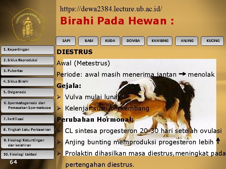 https: //dewa 2384. lecture. ub. ac. id/ Birahi Pada Hewan : SAPI BABI KUDA