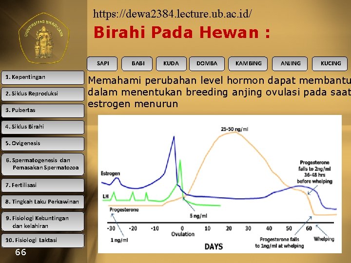https: //dewa 2384. lecture. ub. ac. id/ Birahi Pada Hewan : SAPI 1. Kepentingan