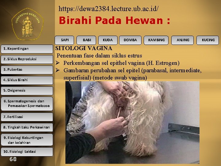 https: //dewa 2384. lecture. ub. ac. id/ Birahi Pada Hewan : SAPI 1. Kepentingan