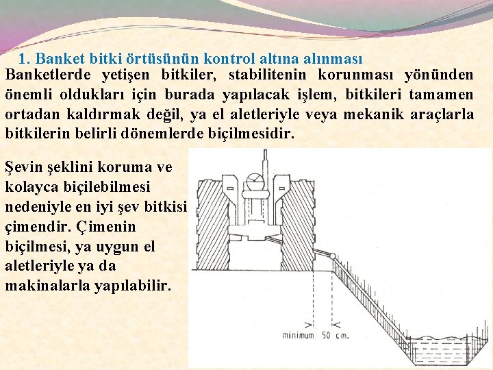 1. Banket bitki örtüsünün kontrol altına alınması Banketlerde yetişen bitkiler, stabilitenin korunması yönünden önemli