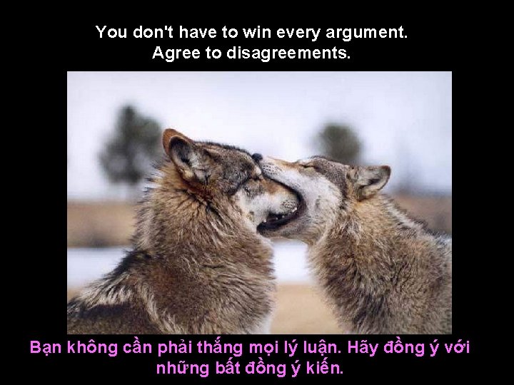 You don't have to win every argument. Agree to disagreements. Bạn không cần phải