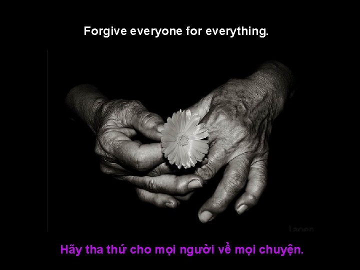 Forgive everyone for everything. Hãy tha thứ cho mọi người về mọi chuyện. 