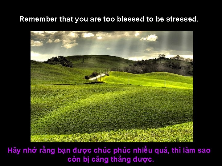 Remember that you are too blessed to be stressed. Hãy nhớ rằng bạn được