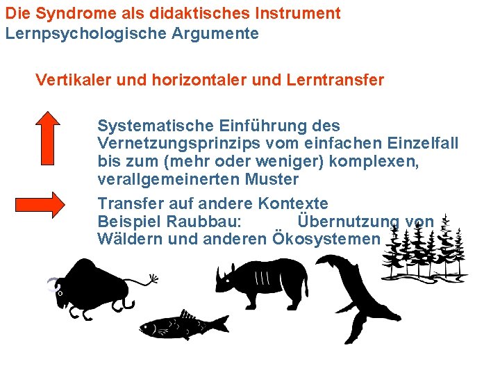 Die Syndrome als didaktisches Instrument Lernpsychologische Argumente Vertikaler und horizontaler und Lerntransfer Systematische Einführung