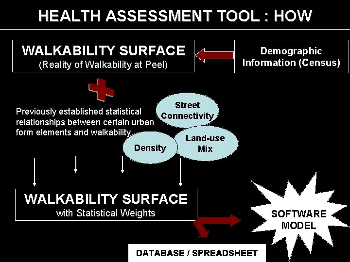 HEALTH ASSESSMENT TOOL : HOW WALKABILITY SURFACE (Reality of Walkability at Peel) Demographic Information