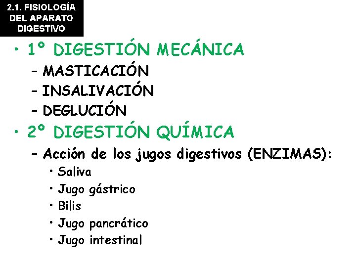 2. 1. FISIOLOGÍA DEL APARATO DIGESTIVO • 1º DIGESTIÓN MECÁNICA – MASTICACIÓN – INSALIVACIÓN